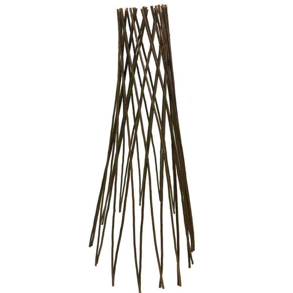 MGP 72'' H x 20'' W Wood Obelisk Trellis
