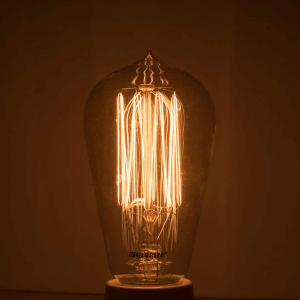40 Watt Dimmable Nostalgic Edison Squirrel Cage-Style ST18 Light Bulb