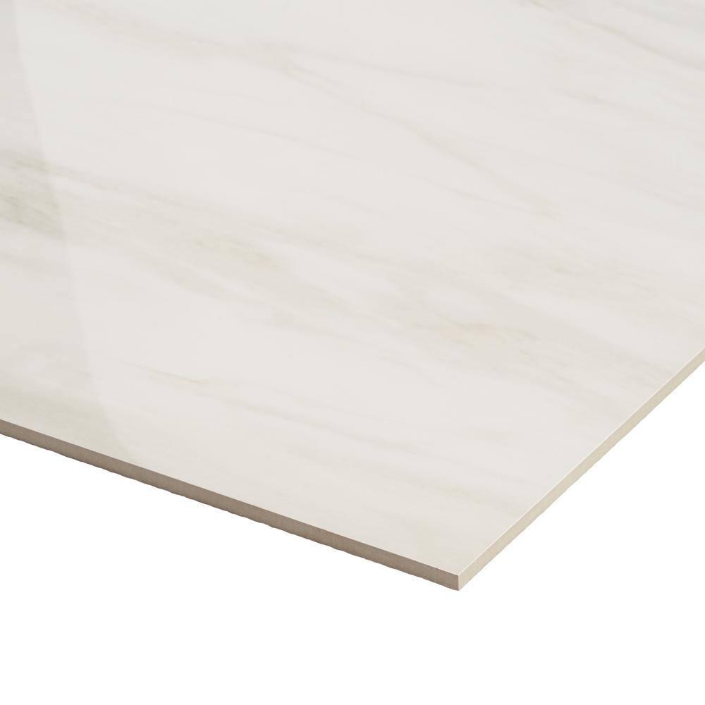 24" x 24" Polished Marble Look Porcelain Floor and Wall Tile (15.5 Sq. Ft. / Case)