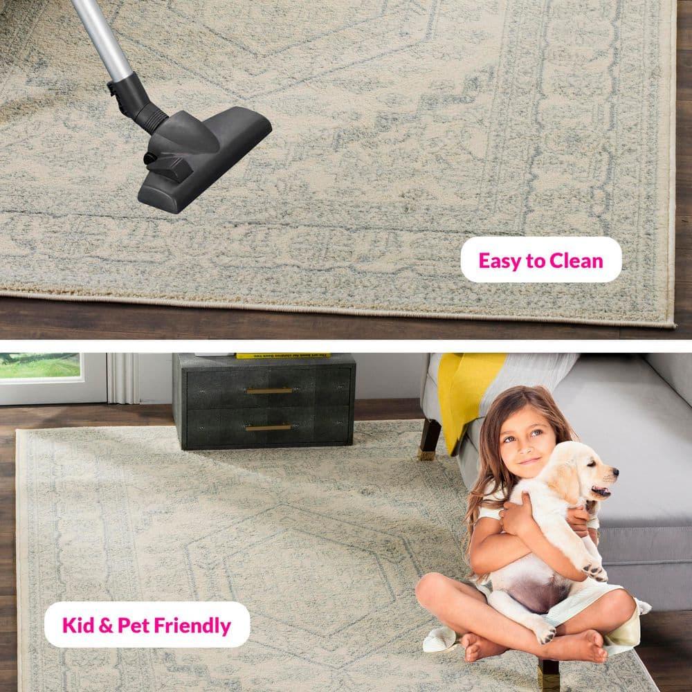 Adirondack ADR108 Power Loomed Area Rug - Ivory/Slate - 6'x9' - Safavieh.