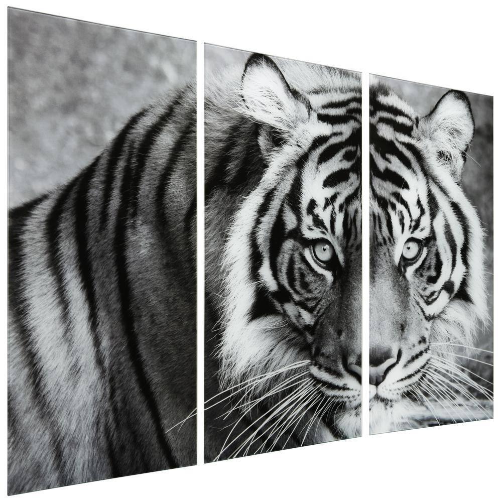 Empire Art Direct " Tiger ABC " 3 - Pieces
