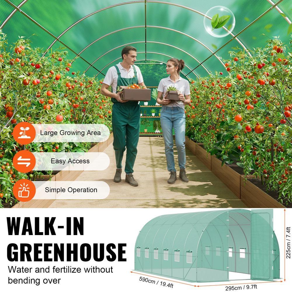 Walk-in Tunnel Greenhouse 19.4 x 9.7 x 7.4 ft. Hoop House Greenhouse Tunnel, with Galvanized Steel Frame, Green PE Cover