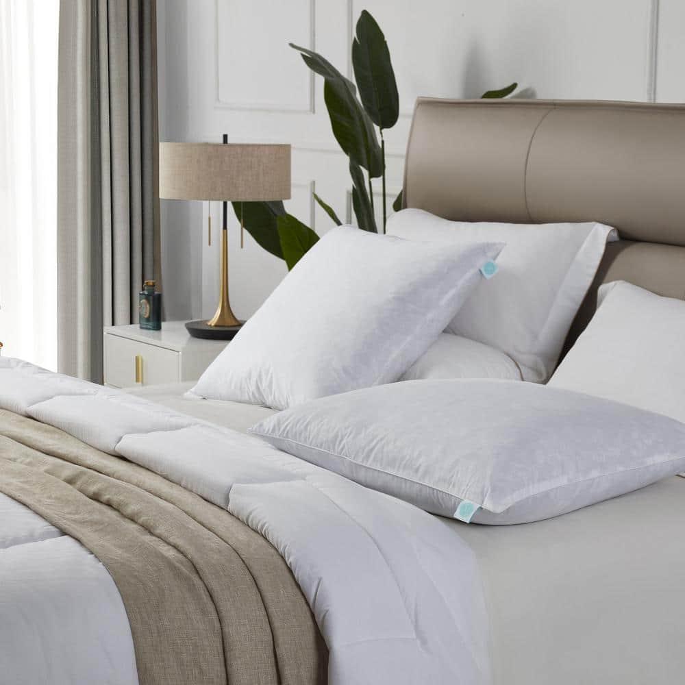 Blue Ridge Martha Stewart 233 Thread Count Cotton Square Feather Pillow - White