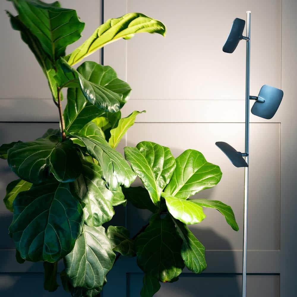 Brightech Tree Industrial LED 3-Way Dimming Floor Lamp with 3 Adjustable Spot Lights