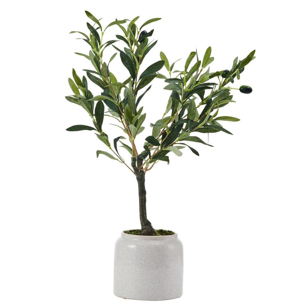 Elements Elements 21.5 in. Artificial Olive Tree Plant in Pot