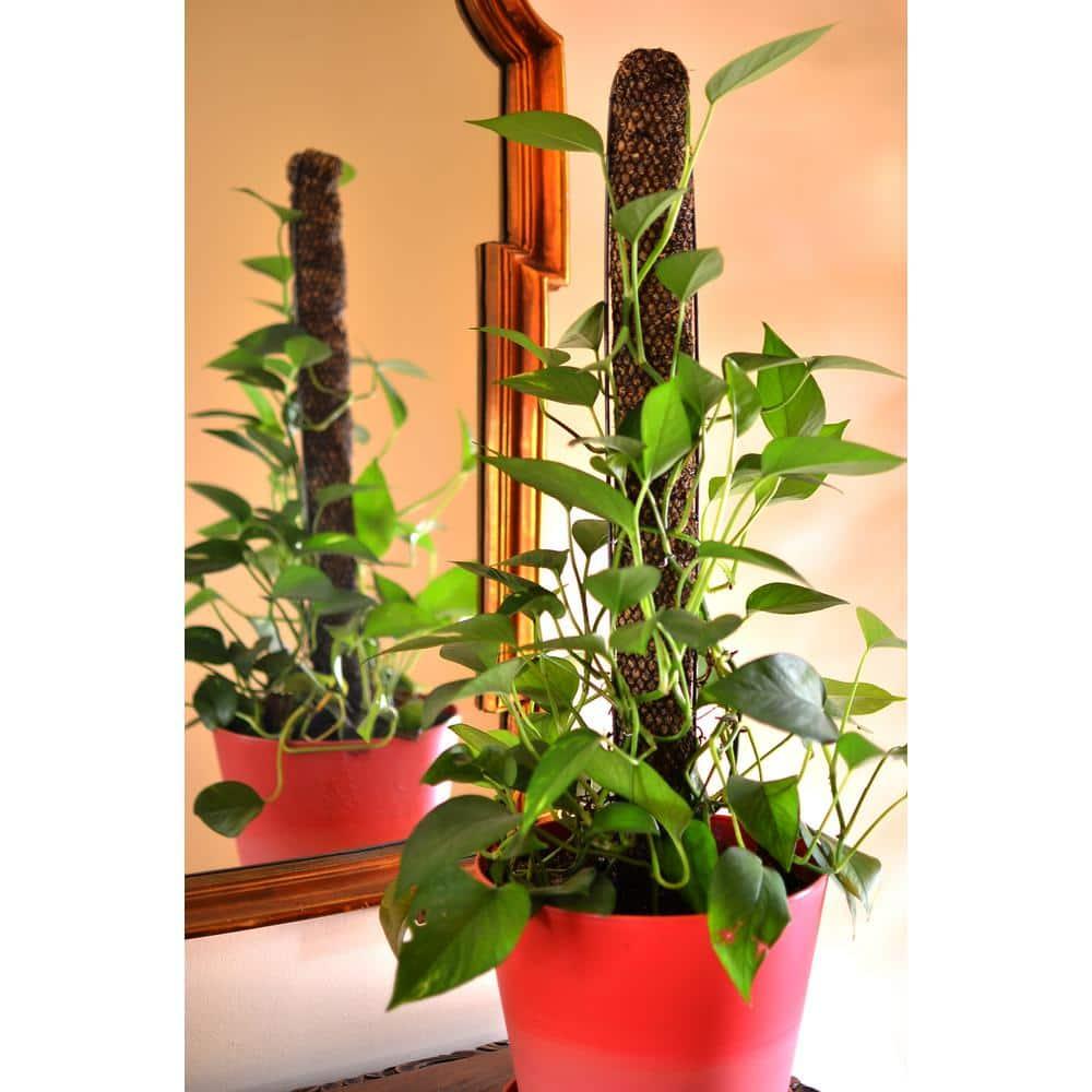 30" Brown Metal Totem Pole Plant Support