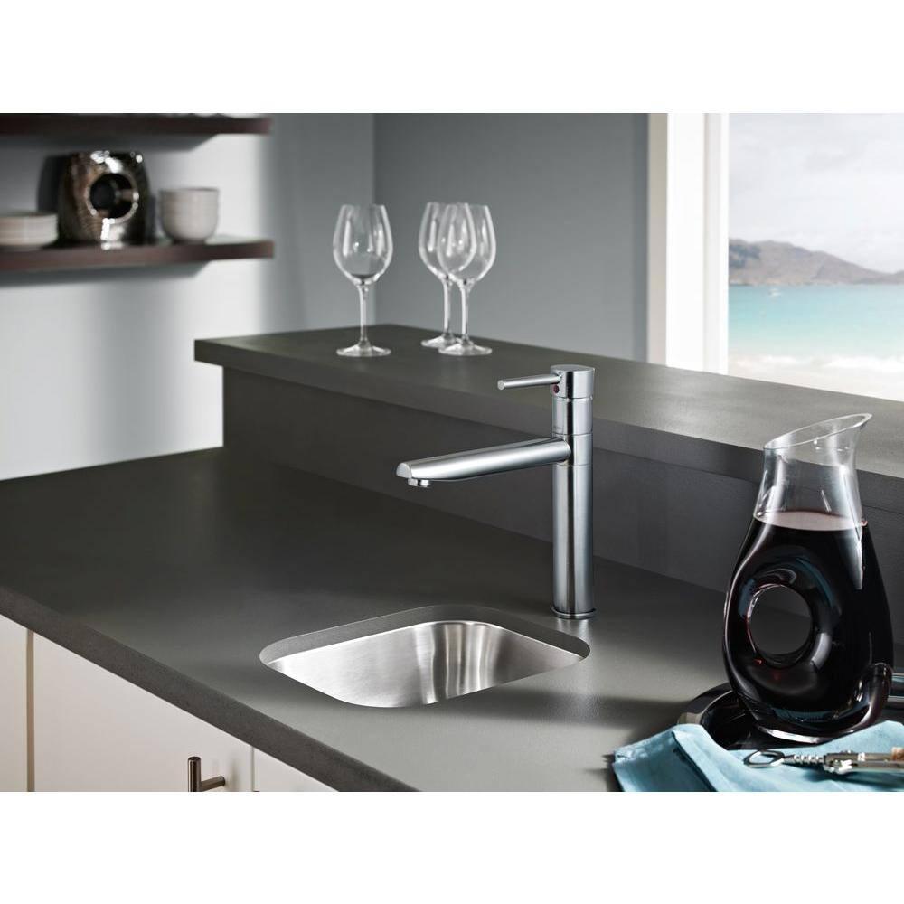 Trinsic Single Handle Kitchen Faucet