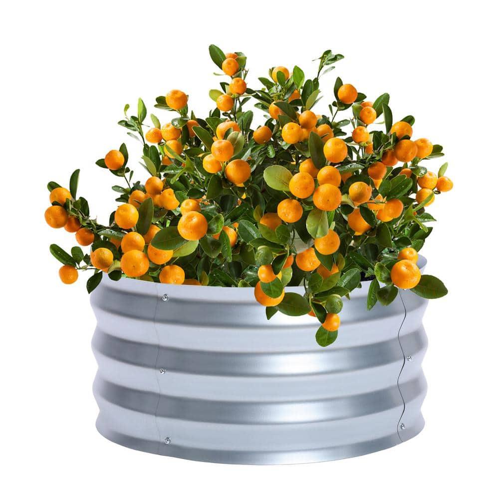 LuxenHome 2ft Round Galvanized Metal Raised Garden Bed Planter Silver