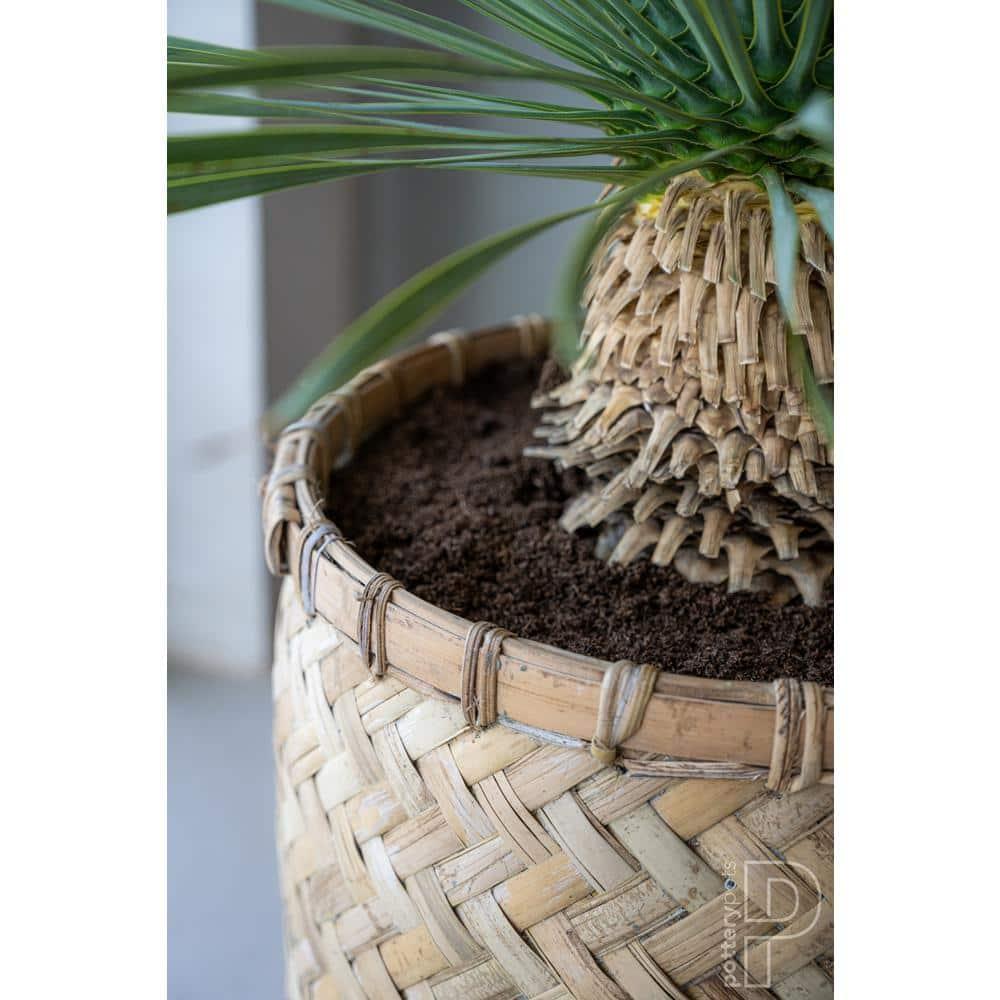 Pottery Pots USA Inc. Pottery Pots Zayn Bamboo Indoor Outdoor Round Planter, Natural Finish 18.9" x 18.9" x 20.9"