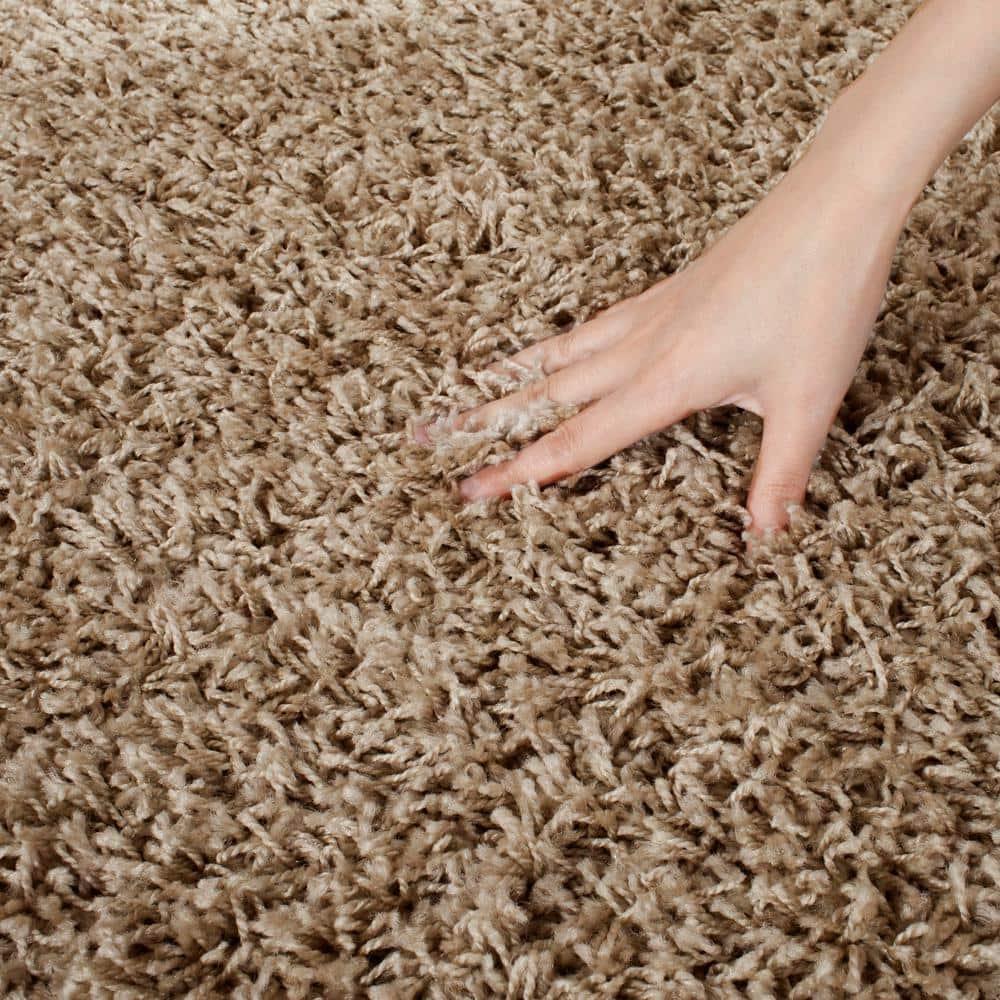Gracie Oaks Atwell Sga-Athens Shag Performance Solid Color Rug