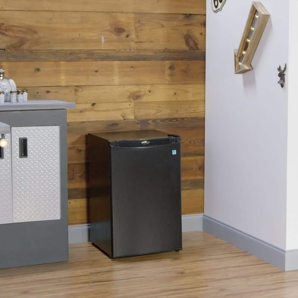 Danby Danby 4.4 cu. ft. Freestanding Compact Fridge