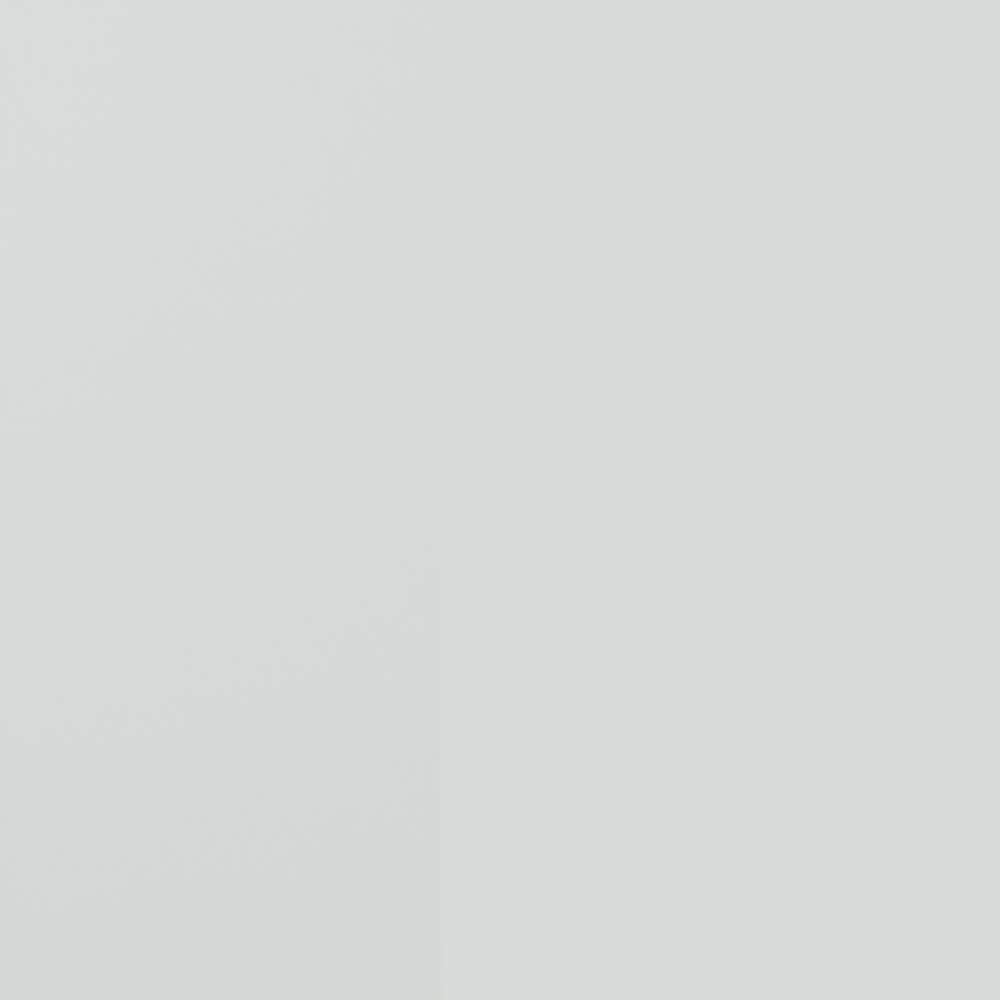 37.4'' x 81.5'' Steel Front Entry Doors