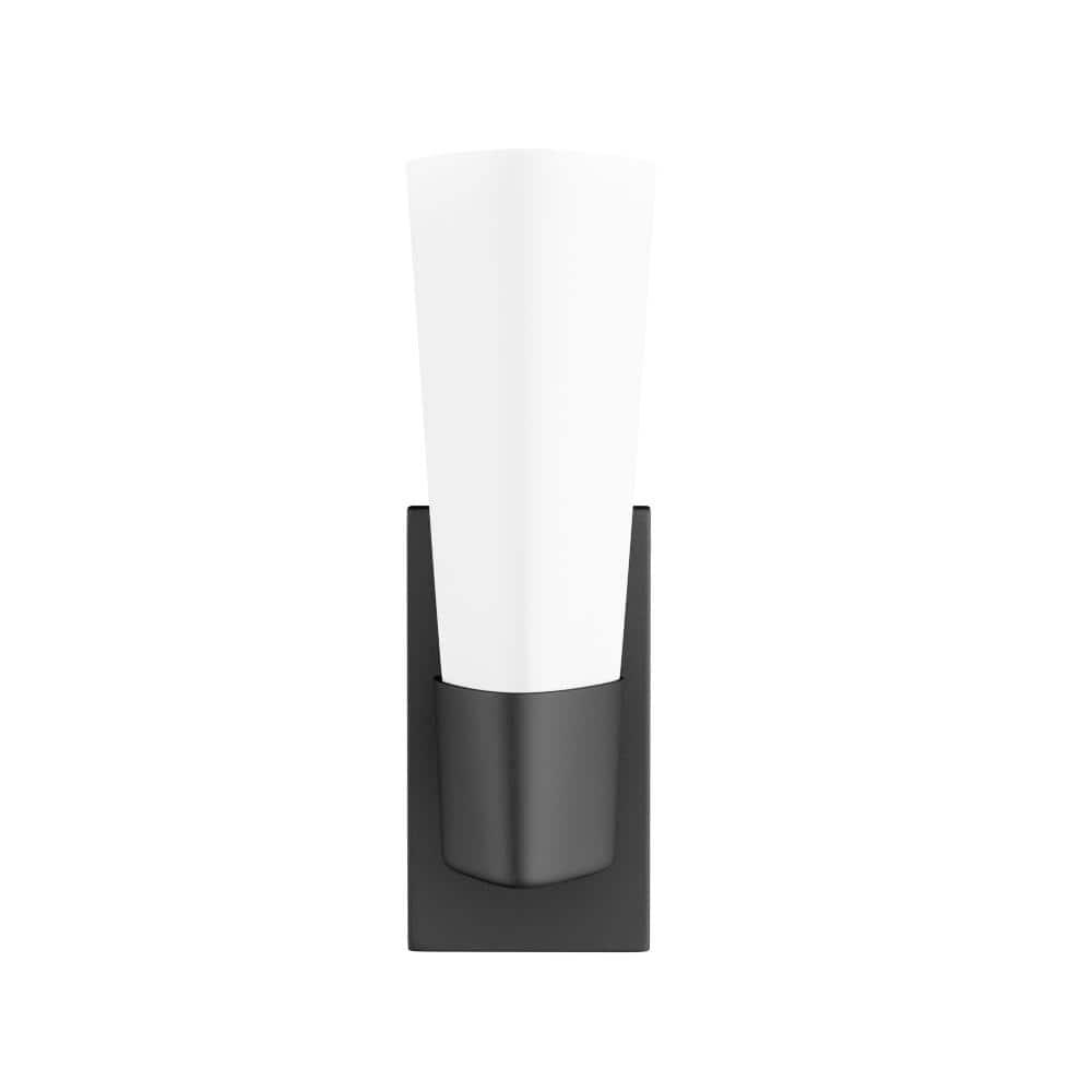 Progress Lighting Zura 1-Light Bath & Vanity Fixture, Zinc, Black, Opal Glass Shade