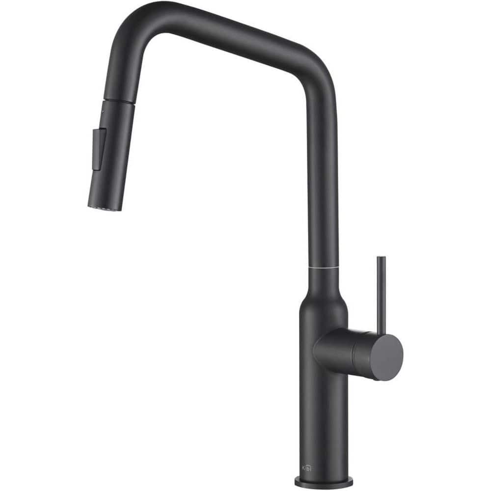 Macon Pull Down Single Handle Kitchen Faucet with Accessories