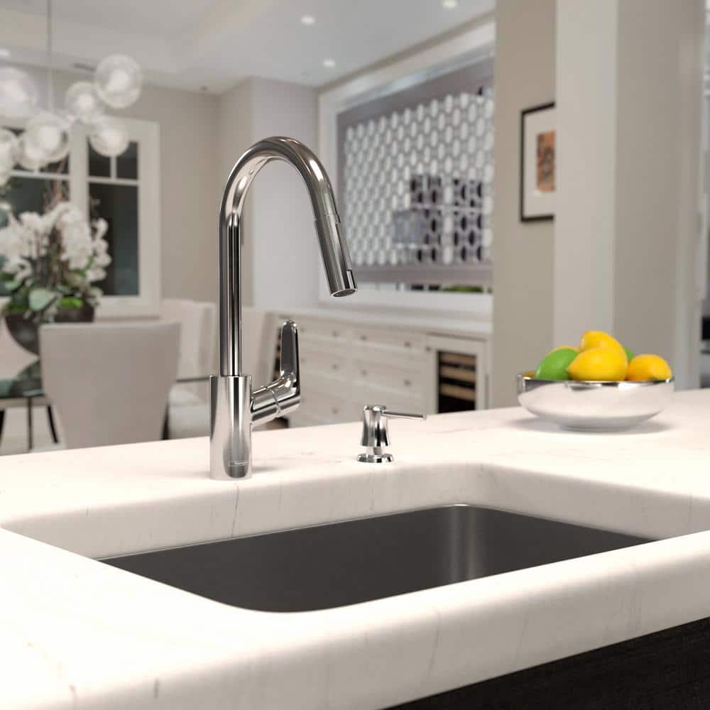 Focus Single Handle Kitchen Faucet