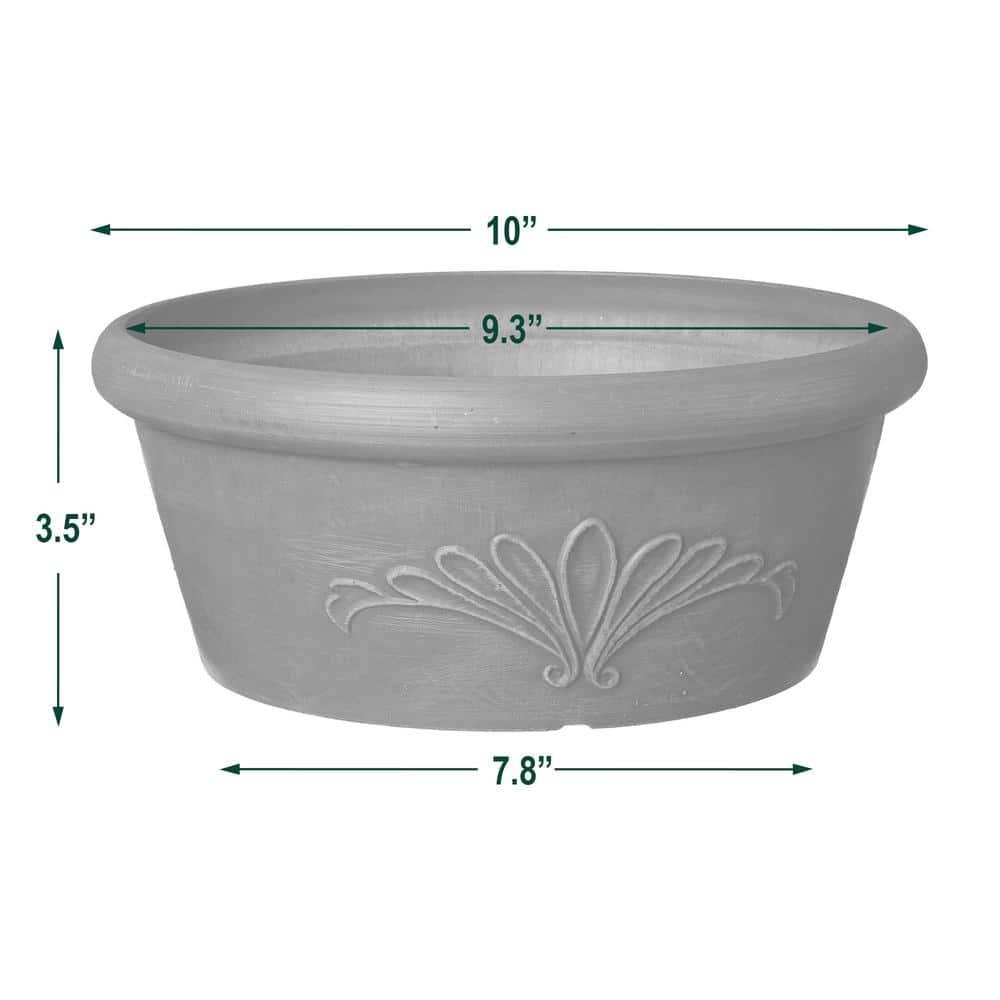 Arcadia PSW Pot TA25C Collection Shallow Bulb Pan Planter Dish Low Bowl for Succulents, Bonsai, Fairy Gardens, Herbs, 10-inch, Chocolate