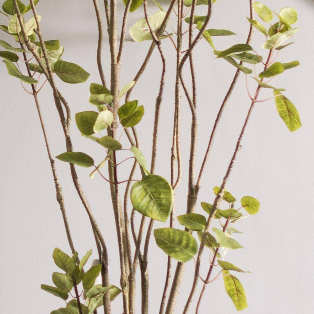 Vickerman 4' Artificial Green Potted Cotinus Coggygria Tree. In a 5"Lx5"Wx5"H base.