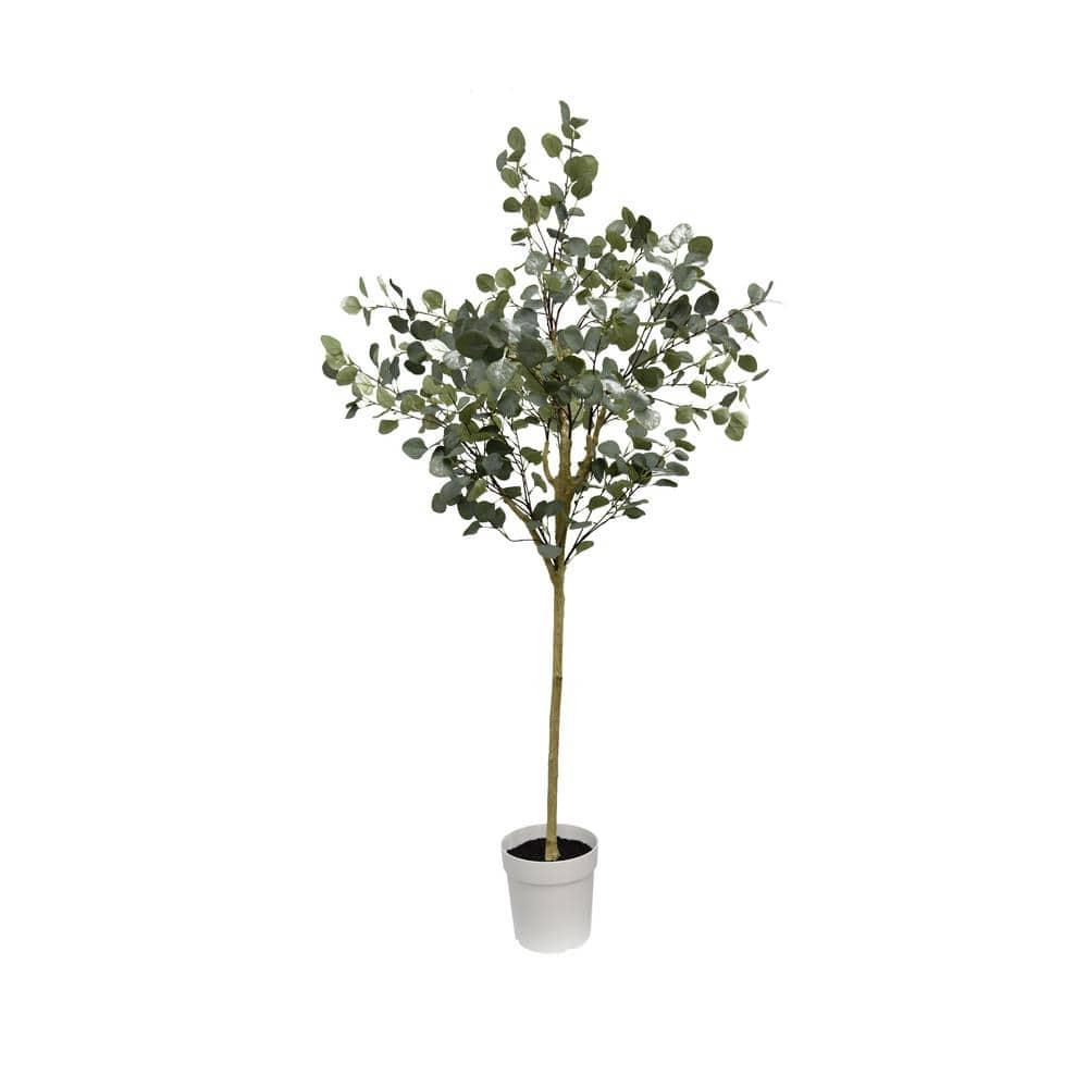 Eucalyptus Tree