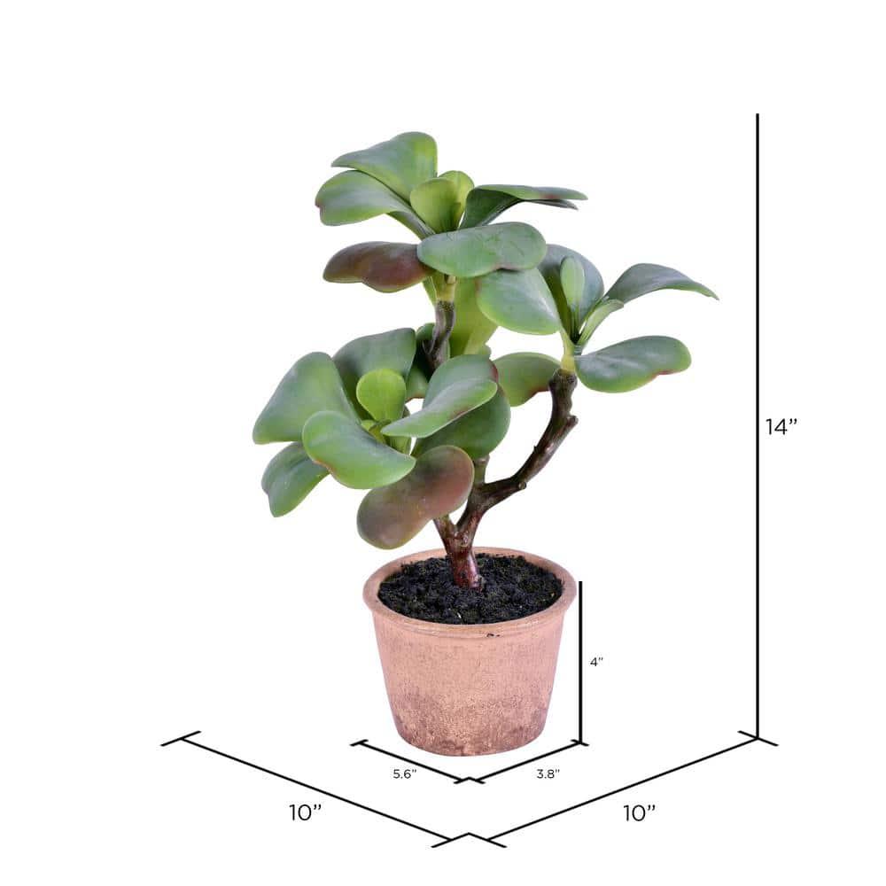 Primrue 14'' Faux Succulent Plant in Pot