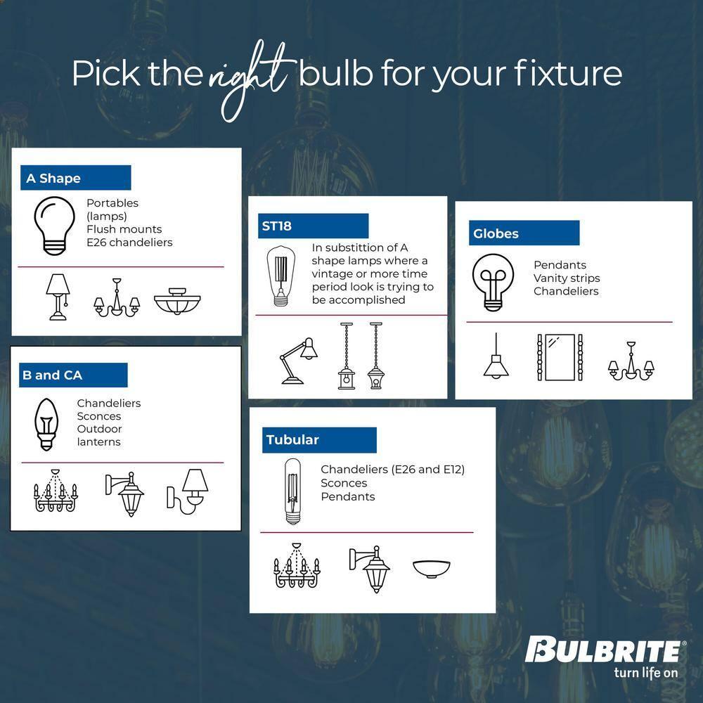 Oversized Jewel Antique LED Edison Bulb, 60 Watt Equivalent, E26 Dimmable