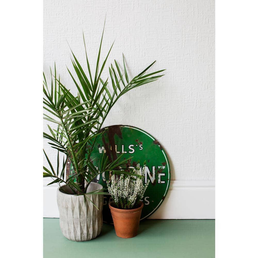 Laurel Foundry Modern Farmhouse® Blume Roll