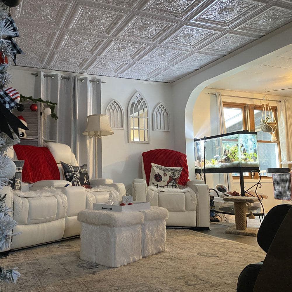 FromPlainToBeautifulInHours Economy La Scala Drop-In PVC Ceiling Tile (Set of 50)