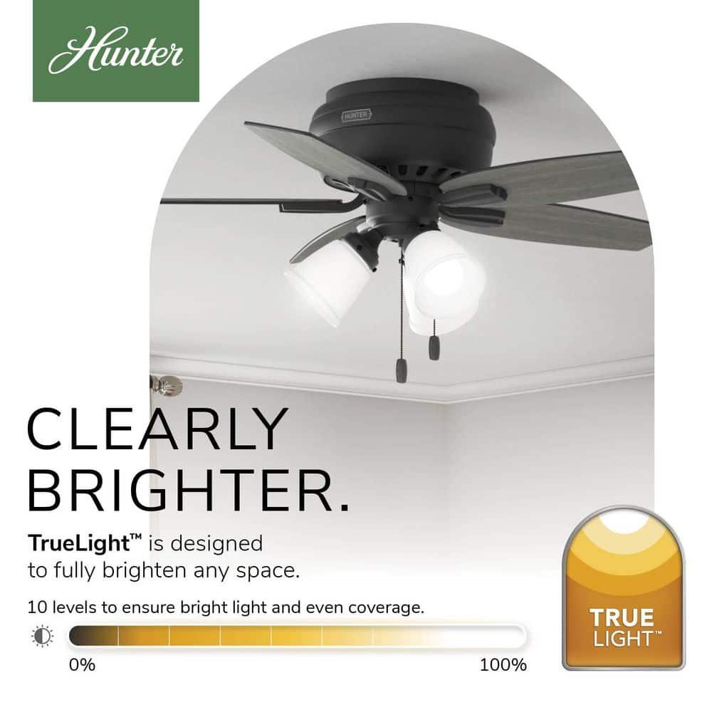 Hunter Fan Newsome 42" 5 - Blade Traditional Indoor Flush Mount Ceiling Fan with Lights and Pull Chains