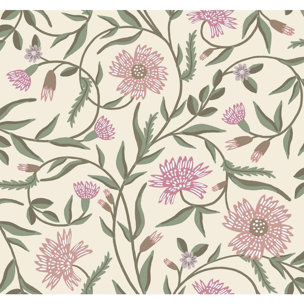 Aster Wallpaper