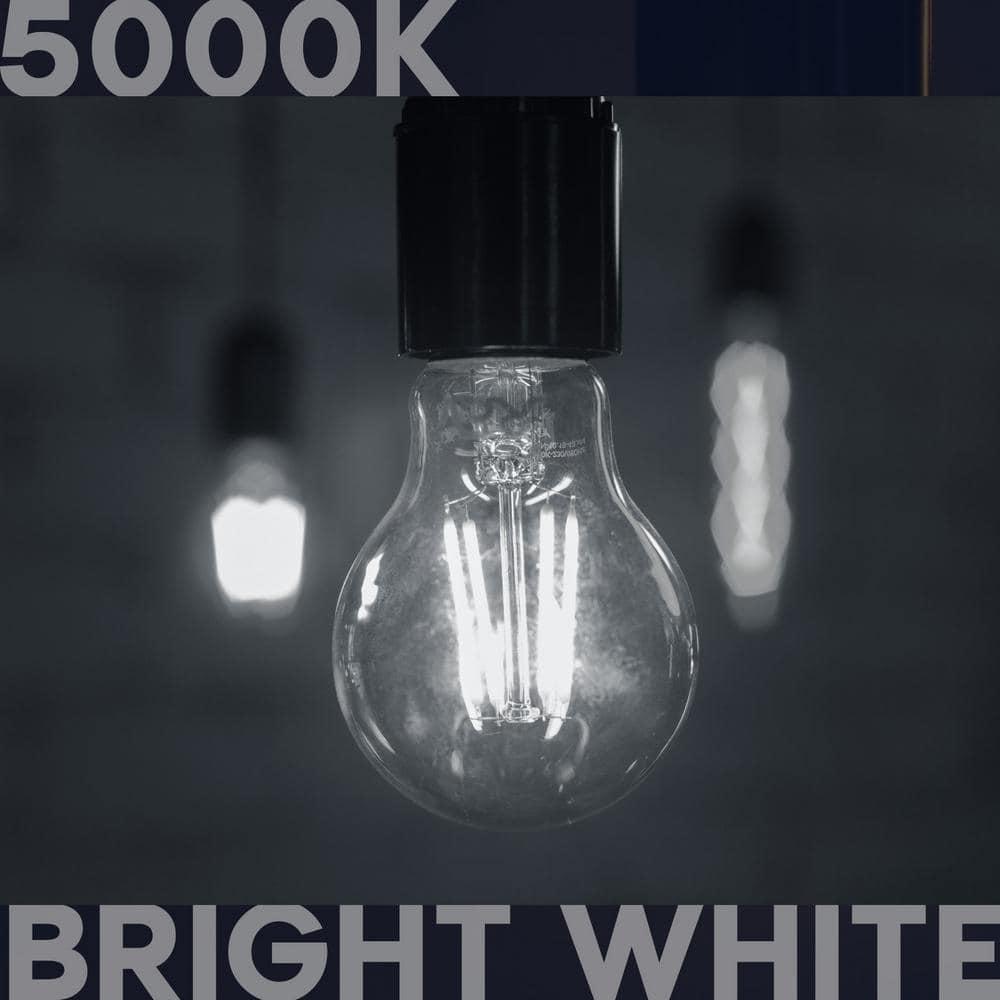 Luxrite Vintage A19 LED Light Bulb 100 Watt Equivalent 1600 Lumens 5000K Bright White Dimmable 12W Damp Rated UL E26 Base 2 Pack