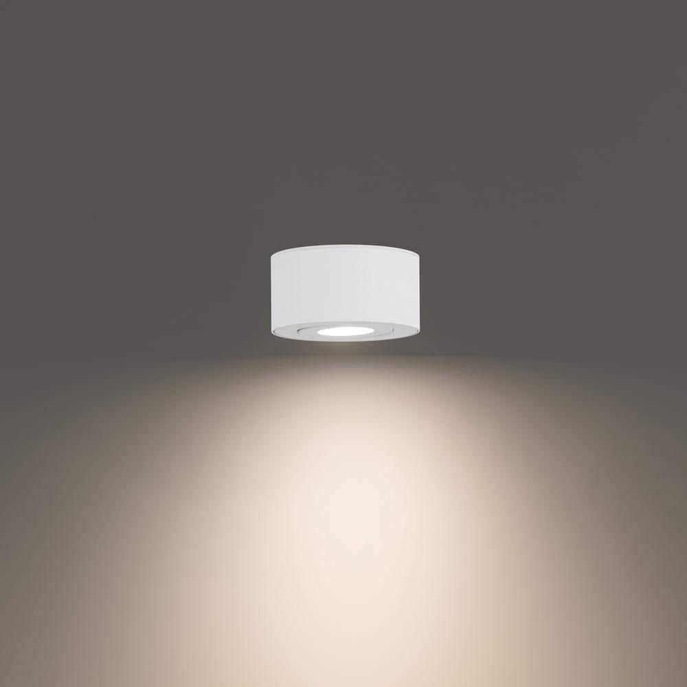 Peek LED Flush Mount