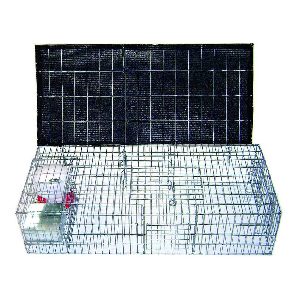 BMP-SW-SP-SFW Pigeon Trap With Shade- Food & Water Containers - 35 x 16 x 8 in.