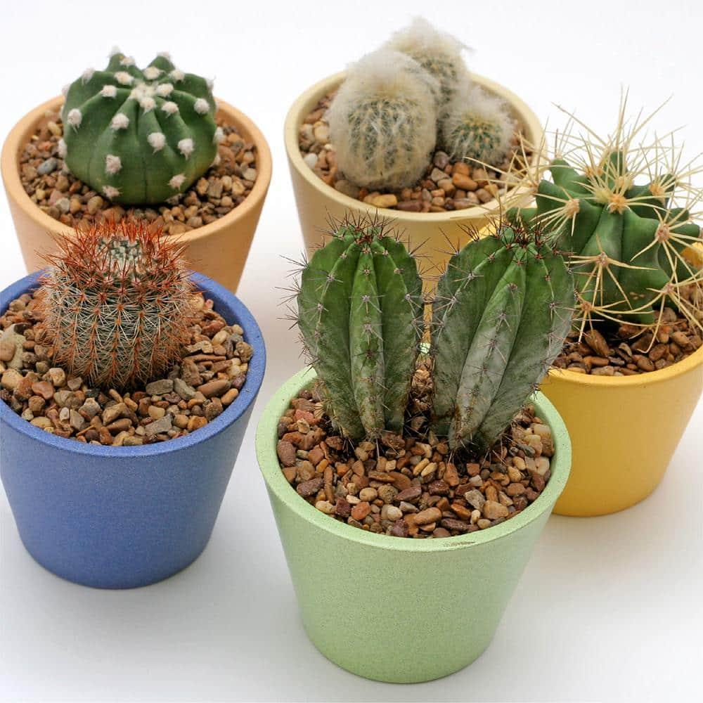 Landscape Rock & Pea Gravel, Decorative Garden Stones for Landscaping 3/8"