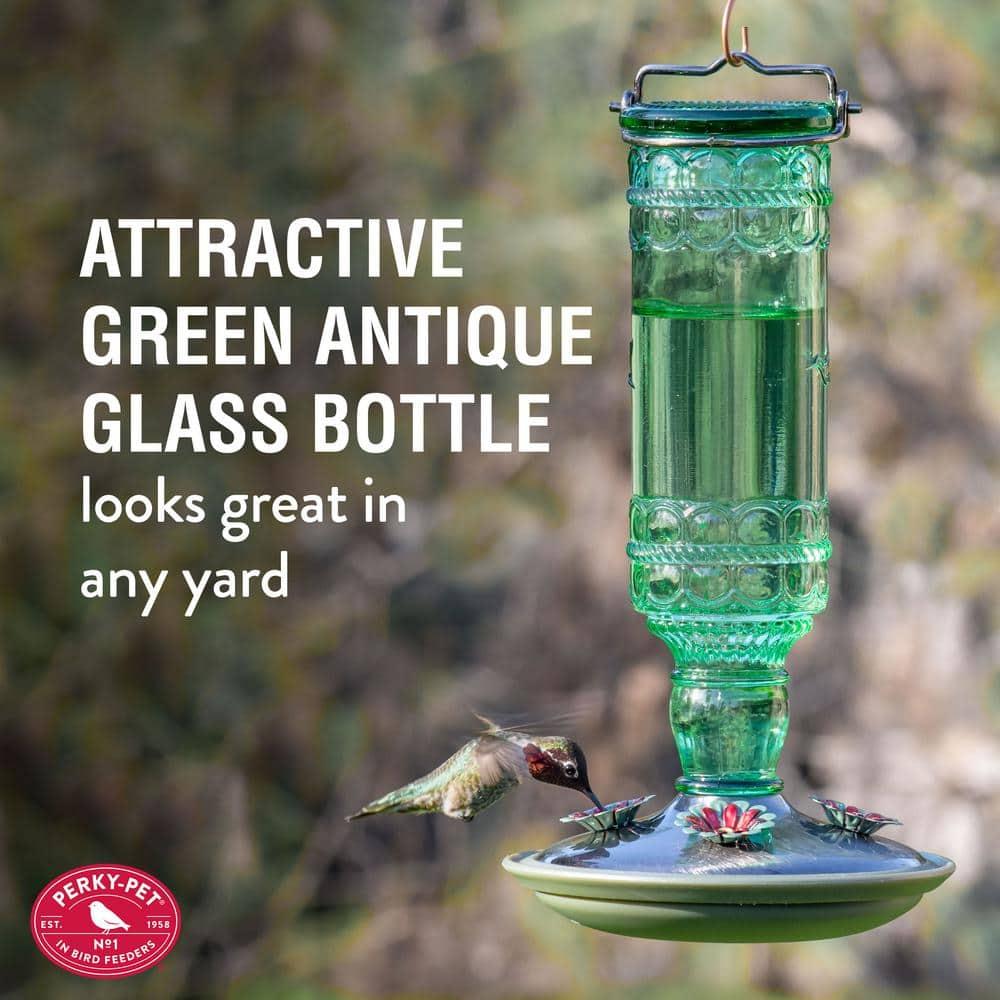 Woodstream Glass Hanging Soda Bottle Feeder