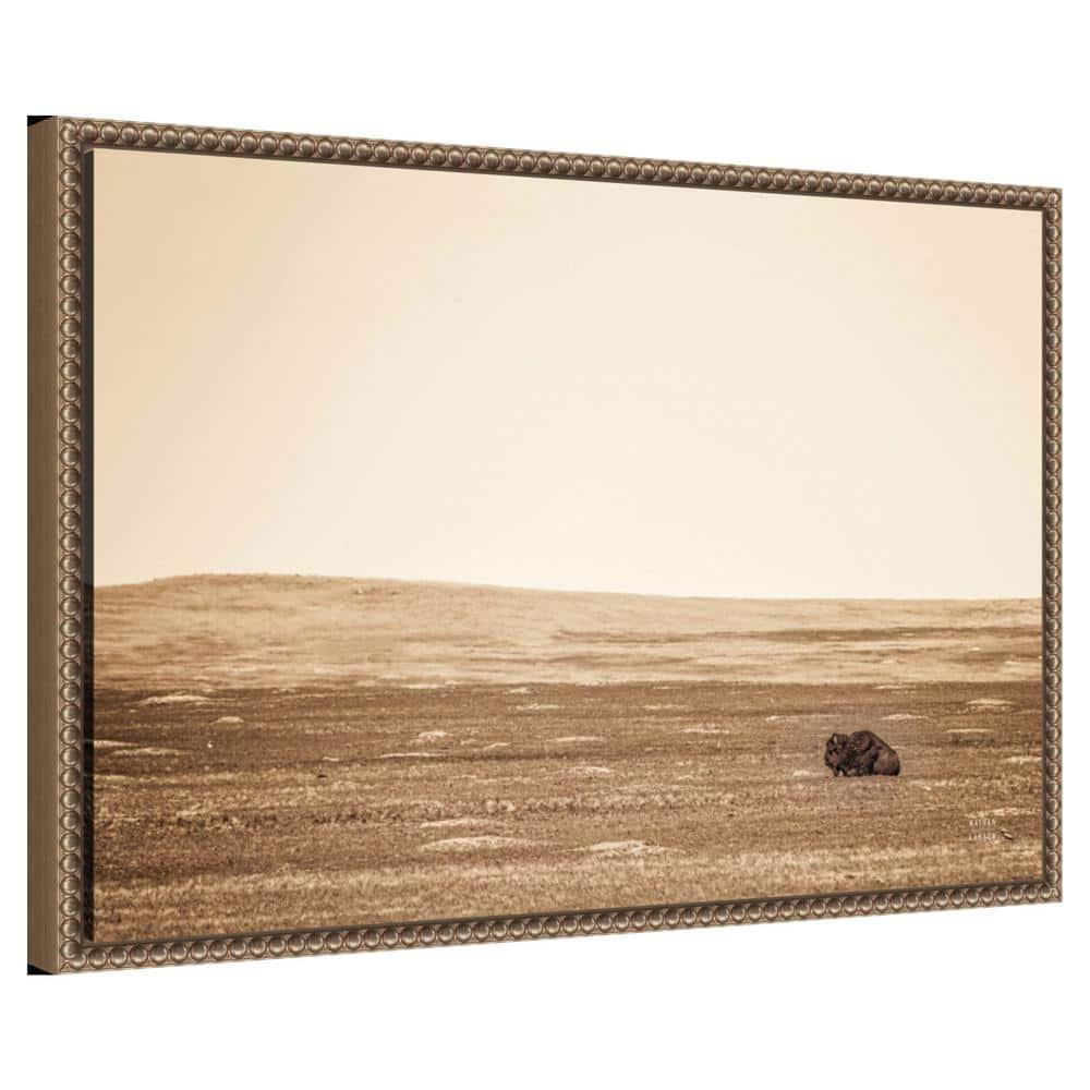 Amanti Art Badlands Bison Sepia by Nathan Larson Canvas Wall Art Print Framed 23 x 16-in.