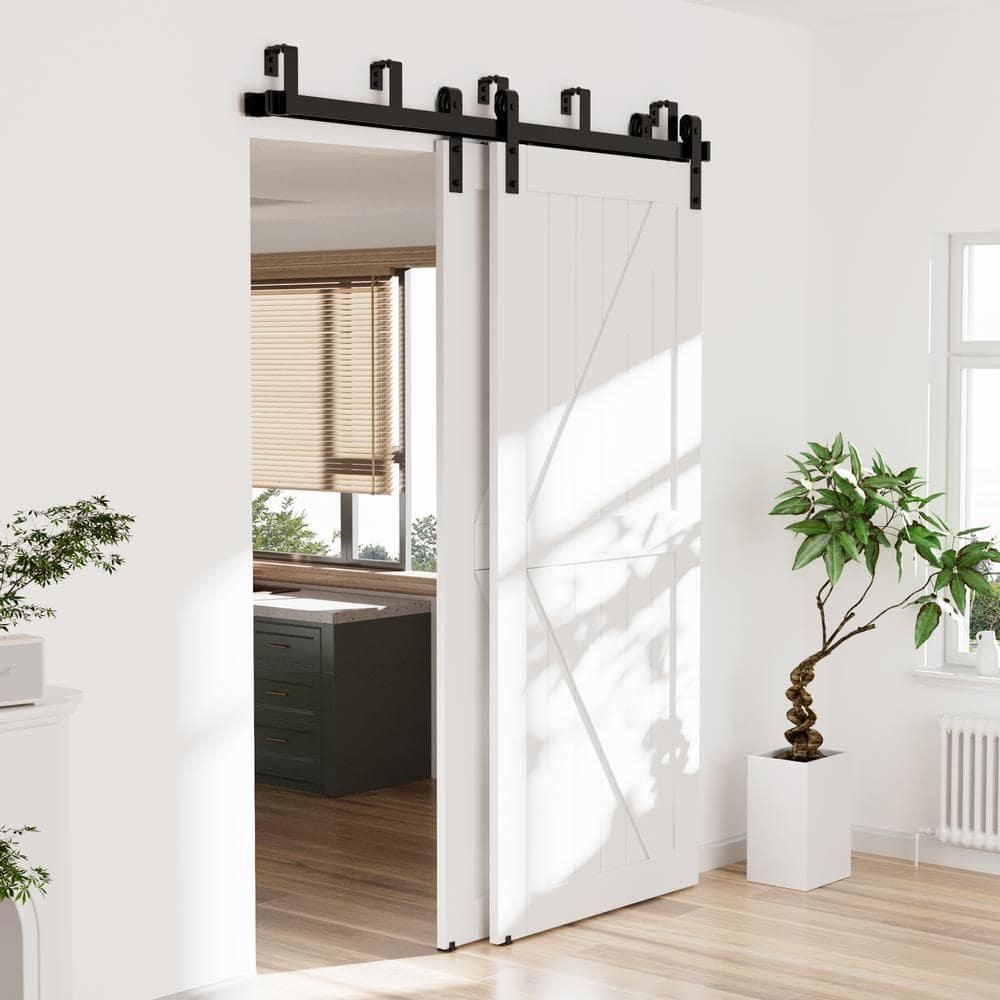Lazio LAZ Sliding Double Bypass Double Door Barn Door Hardware Kit