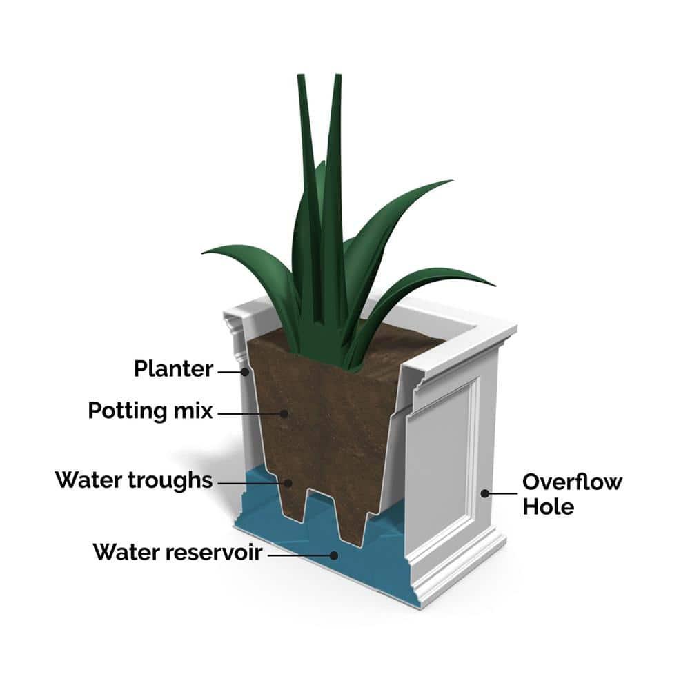 Winston Porter Anastasiya 20"x36" Resin Planter with Water Reservoir