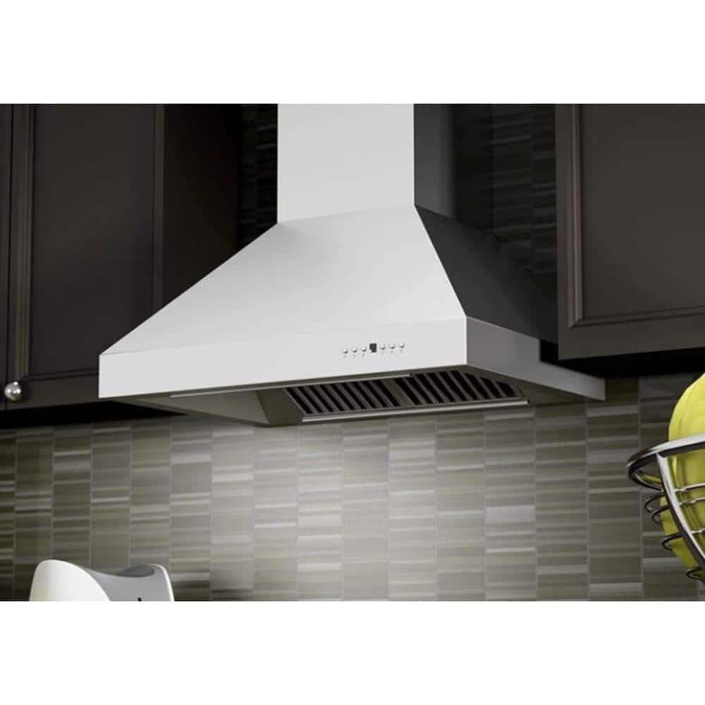 ZLINE 42 in. Professional Ducted Wall Mount Range Hood in Stainless Steel (697-42)