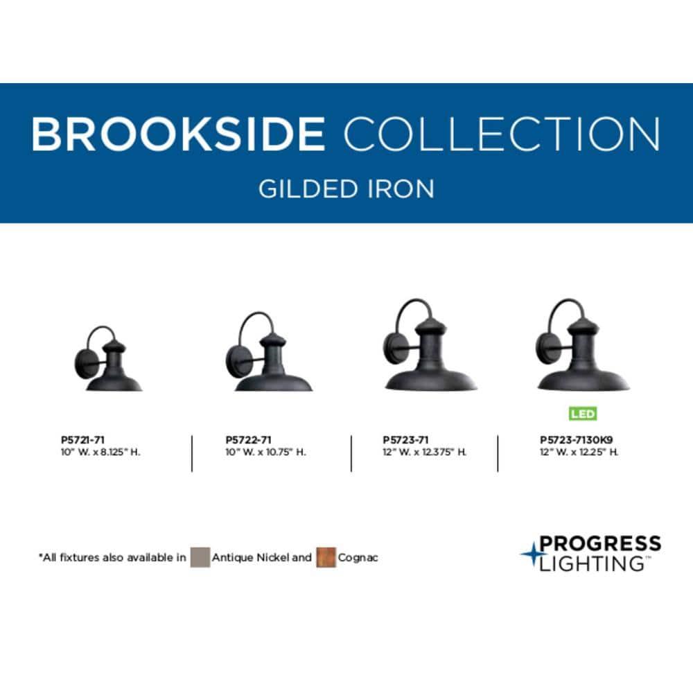 Progress Lighting Brookside 1-Light Gilded Iron Ceramic Wall Lantern
