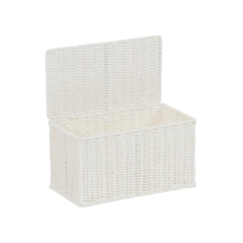 Household Essentials Paper Rope Wicker Box & Reviews | Wayfair