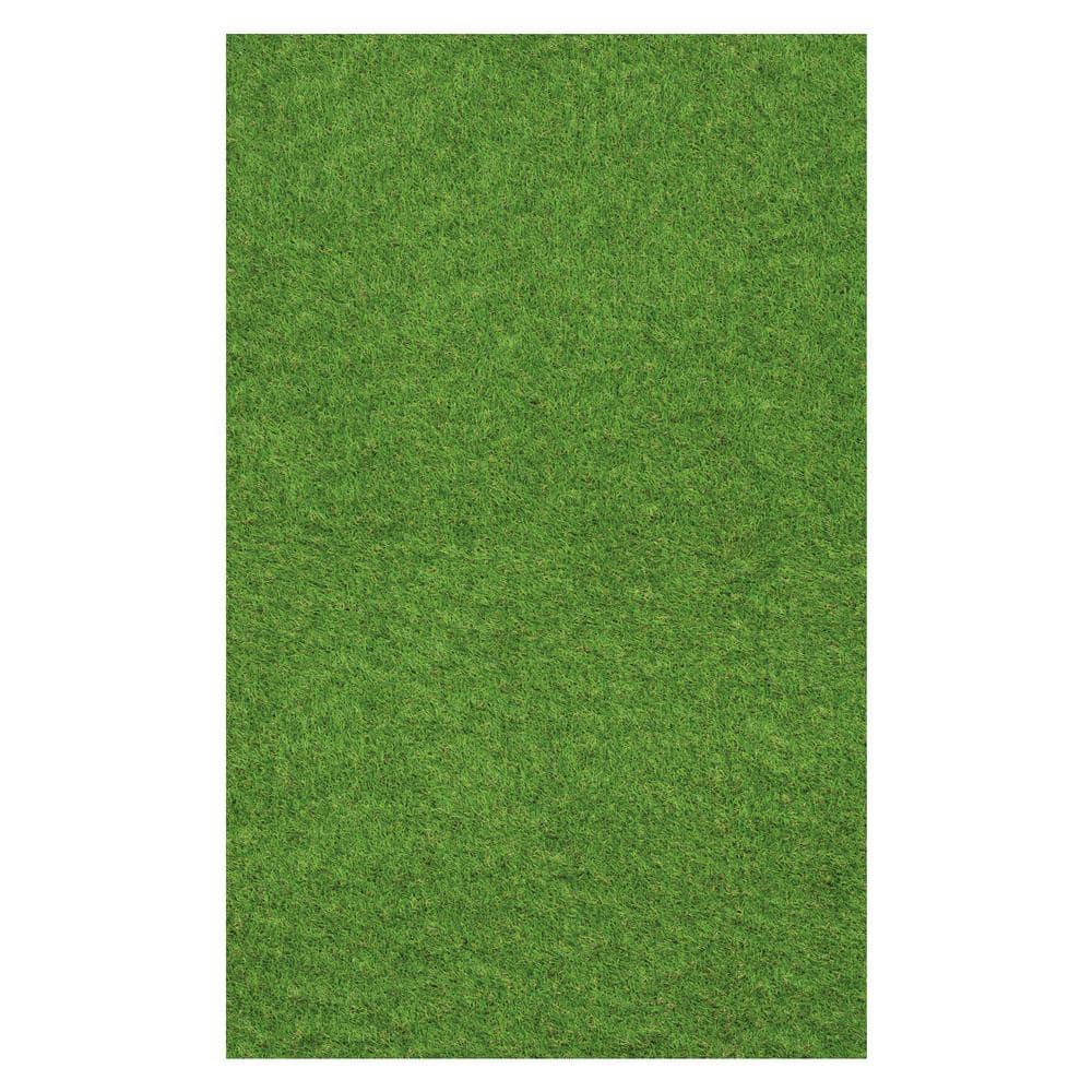 Eider & Ivory™ Thurlos Artificial Grass Synthetic Lawn Indoor Outdoor Area Rug