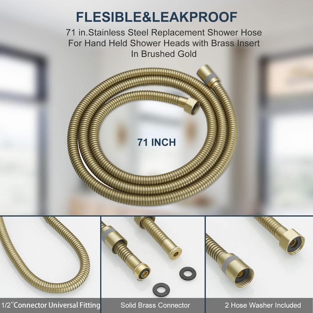 VIBRANTBATH 71 In. Modern Flexible Handheld Shower Hose Replacement For Bathing Toilet Cleaning Pet With Brass Fitting In Chrome 180-BG