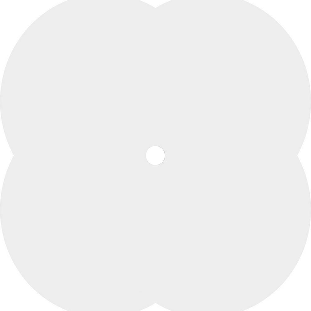 Ekena Millwork CMP18CE-01000 Charlotte Ceiling Medallion