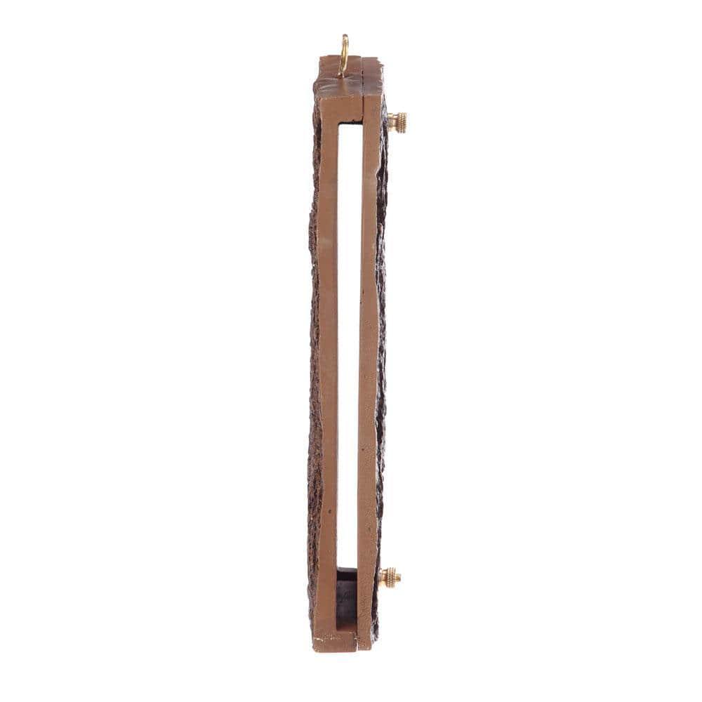 Birds Choice Spreadable Suet Feeder for Woodpeckers