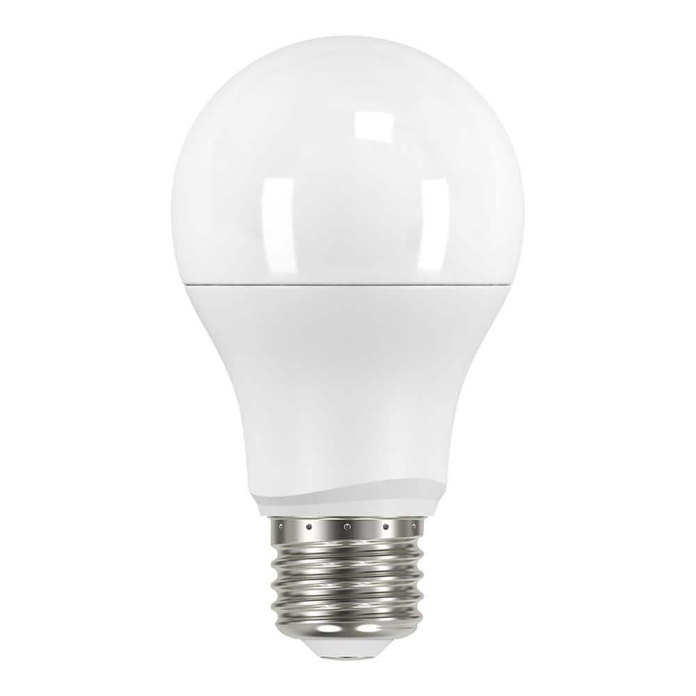 Stardust LED Four-Light Island Pendant with Creme Parchment Glass