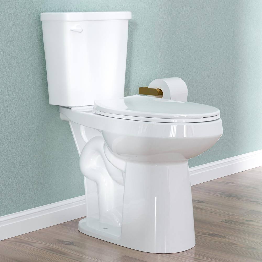 19 in. 2-Piece Toilet 1.1/1.6 GPF Dual Flush Round White Toilet ADA Height with Soft-Close Seat