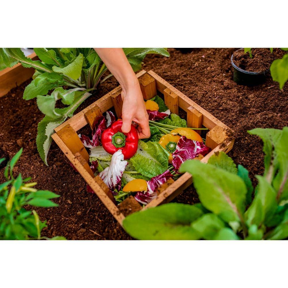 Vita Mezza 3' L x 5' W Cedar Keyhole Composting Garden, Golden Brown, VT17702