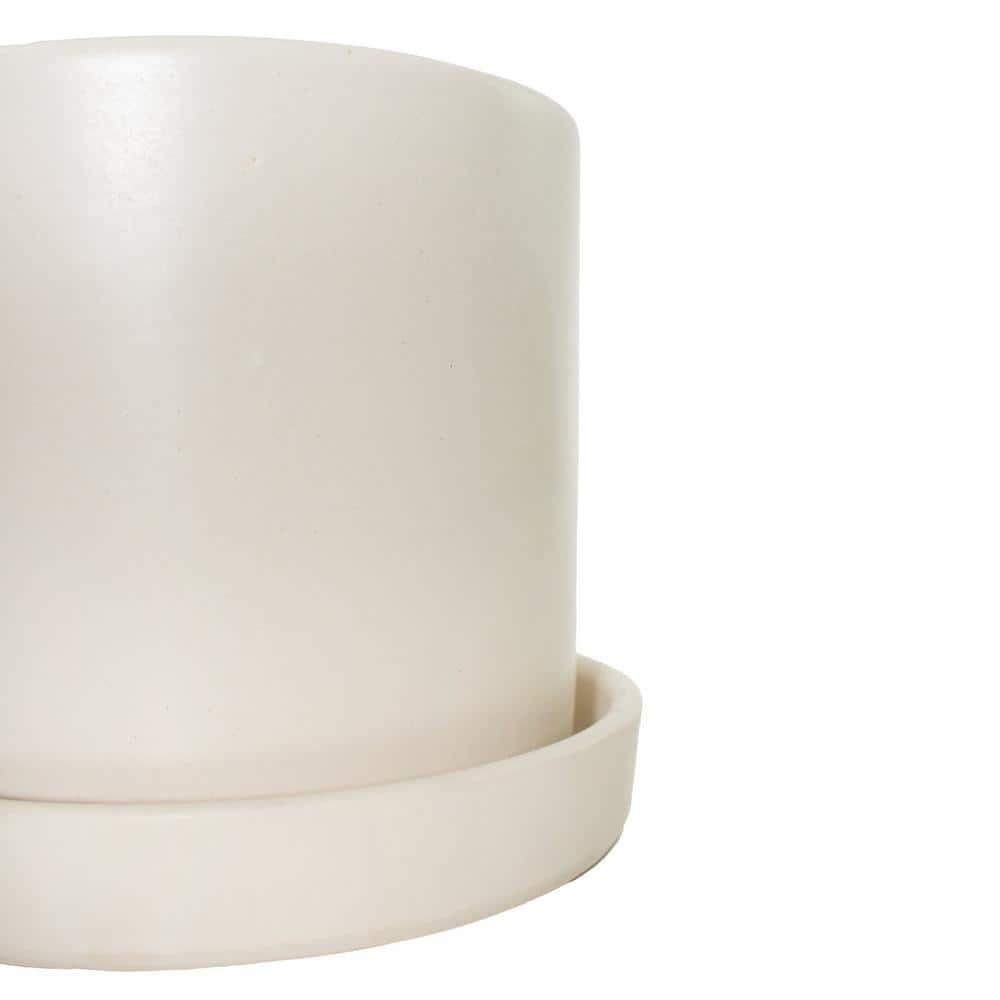 7 in. Semi Matte Cream Hyde Container with 6 in. Sanseveria Laurentii  Live Houseplant Indirect Sun