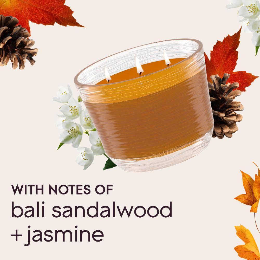Glade 3 Wick Scented Candles - Cashmere Woods - 6.8oz