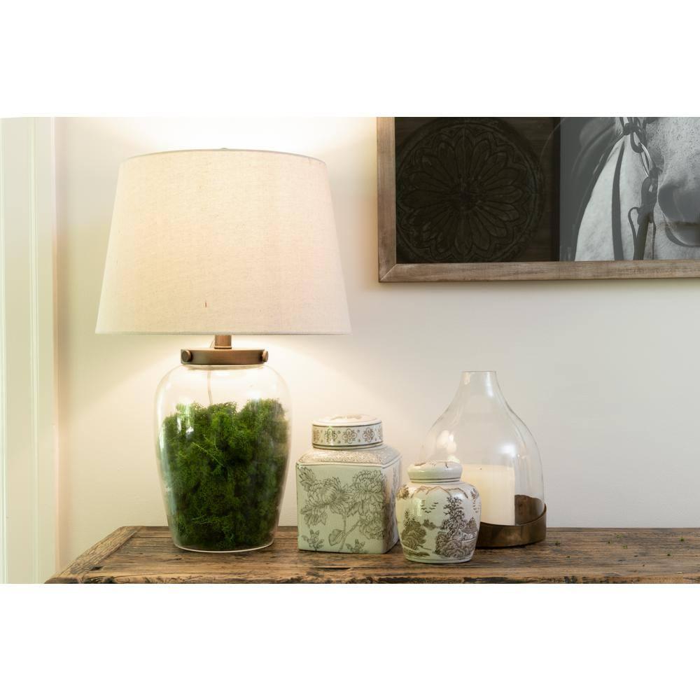 10" x 7" Glass Cloche with Metal Antique Copper Finish Trays Brass - Storied Home: Vintage Display Dome, Elegant Terrarium