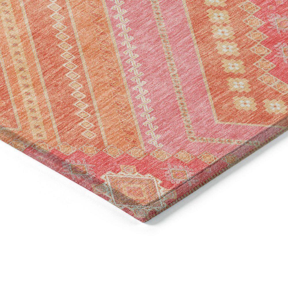 Machine Washable Indoor/Outdoor Chayden ACN1010 Coral Rug